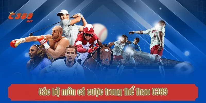 Các bộ môn cá cược trong thể thao C389