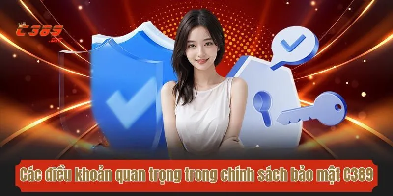 Các điều khoản quan trọng trong chính sách bảo mật C389