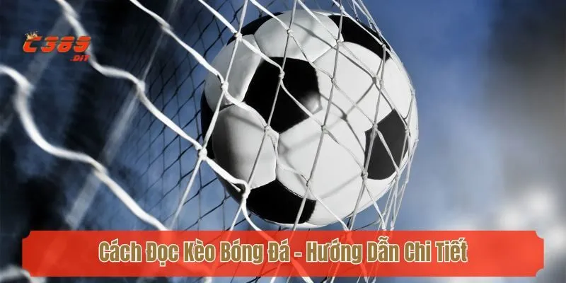 Cách Đọc Kèo Bóng Đá - Hướng Dẫn Chi Tiết Tại C389