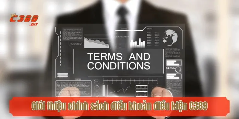 Giới thiệu chính sách điều khoản điều kiện C389