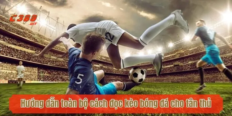 Hướng dẫn toàn bộ cách đọc kèo bóng đá cho tân thủ