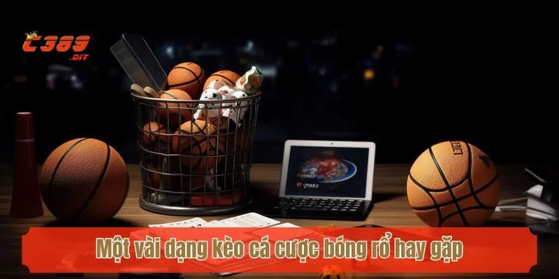Một vài dạng kèo cá cược bóng rổ hay gặp