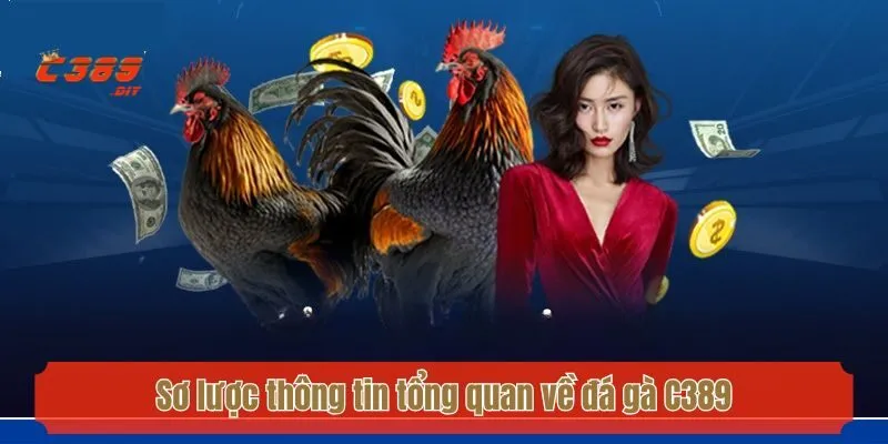 Sơ lược thông tin tổng quan về đá gà C389