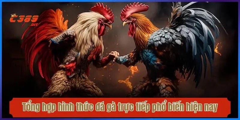 Tổng hợp hình thức đá gà trực tiếp phổ biến hiện nay