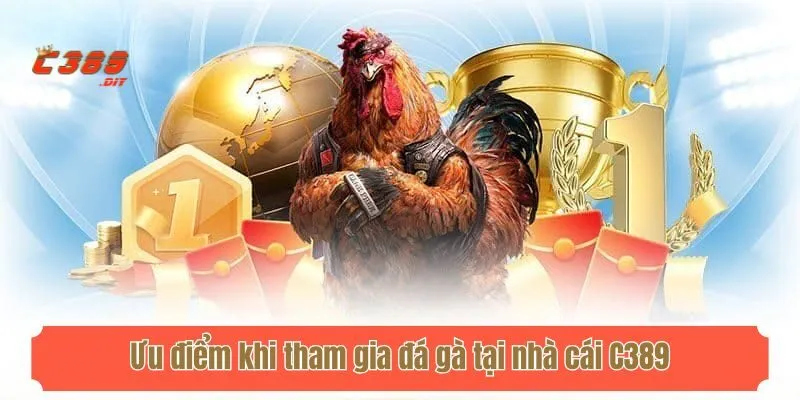 Ưu điểm khi tham gia đá gà tại nhà cái C389