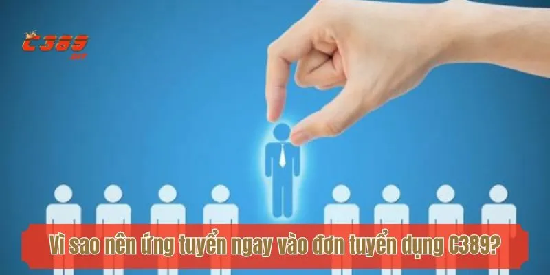 Vì sao nên ứng tuyển ngay vào đơn tuyển dụng C389?